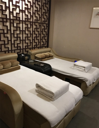 		自吸风烫衣机	(图15)